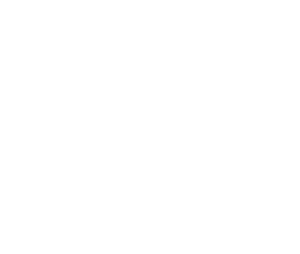 Ligue régionale de triathlon Grand Est